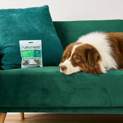 Verdauungs-Snack – 90 g