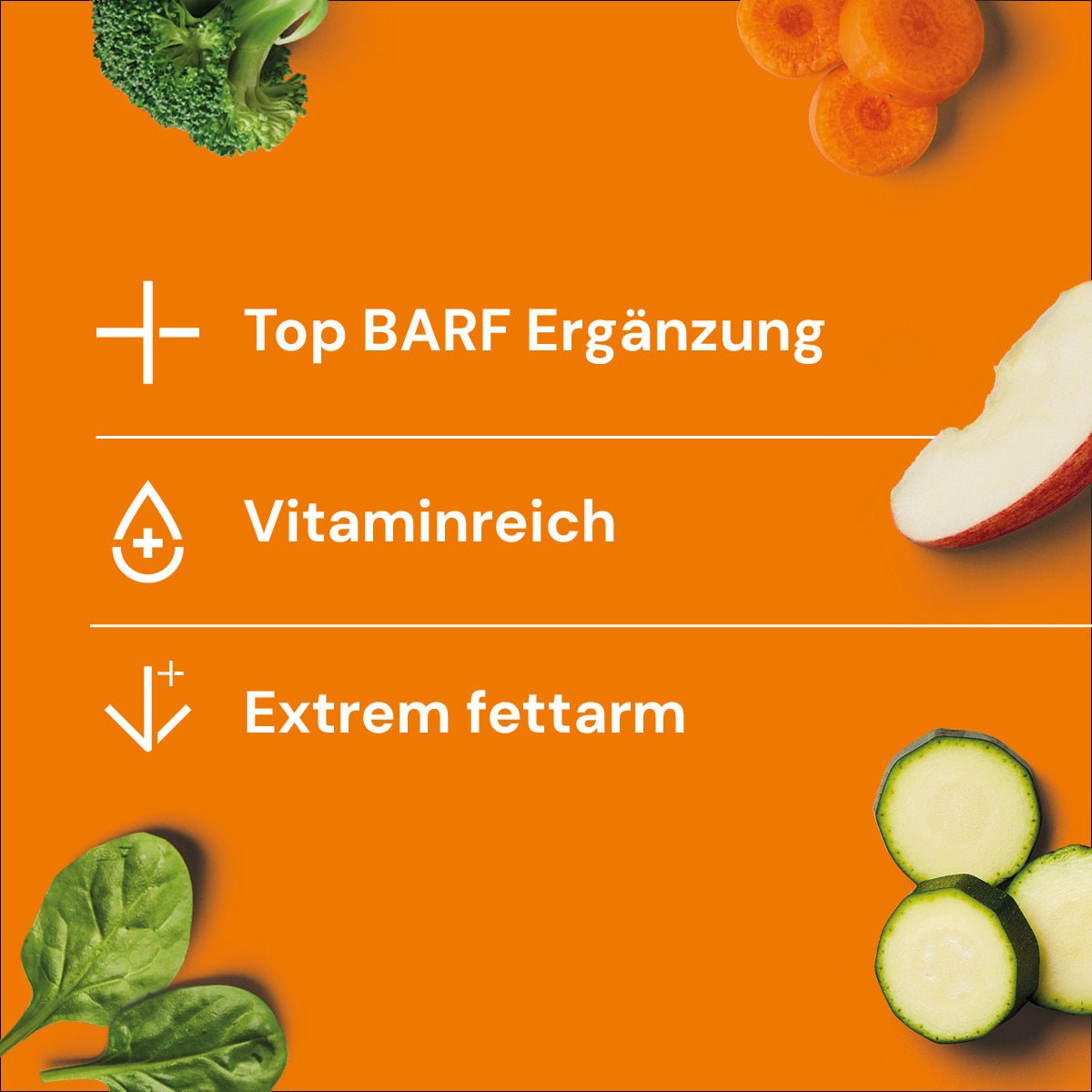 VitalPower Gemüse-Frucht Medallions 840 g